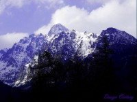 /album/priroda/a5-jpg/