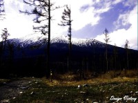 /album/priroda/a7-jpg/