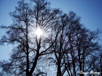 /album/priroda/a9-jpg/