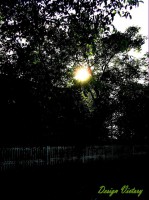 /album/priroda/a32-jpg/