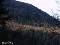 /album/priroda/a44-jpg/