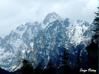 /album/priroda/a46-jpg/