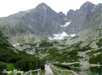 /album/priroda/a54-jpg/