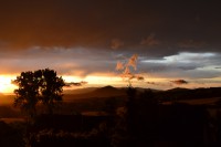 /album/priroda/dsc-0133-jpg/
